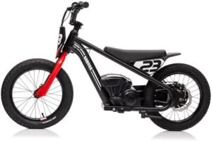 Euker Kid Electric Bike: Best Choice for Young Adventurers