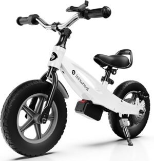 Swappable Battery & Adjustable Seat: The Ultimate Kids' Electric Bike
