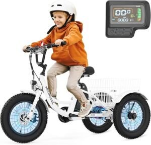 Stunning Electric Tricycle: Best Ride for Youth Safety