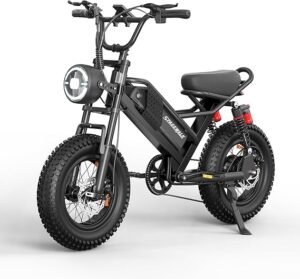Spacewalk Electric Bike: Stunning and Affordable Ebike